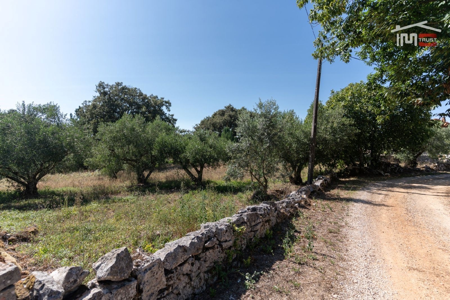  à vendre terrain Faniqueira Batalha 1