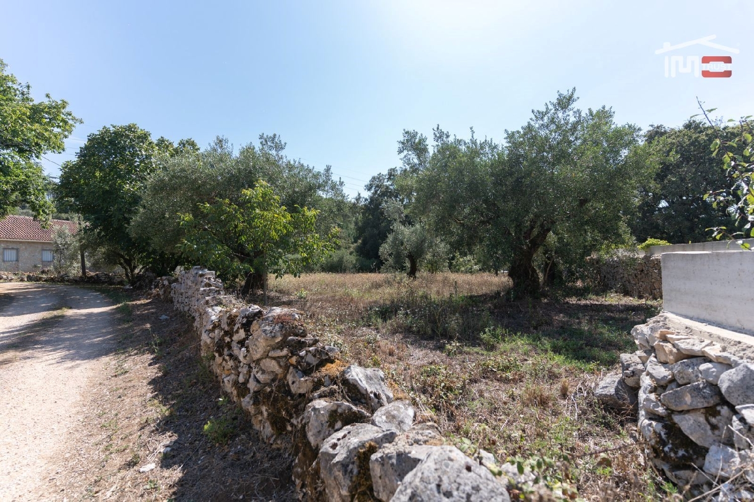  à vendre terrain Faniqueira Batalha 2