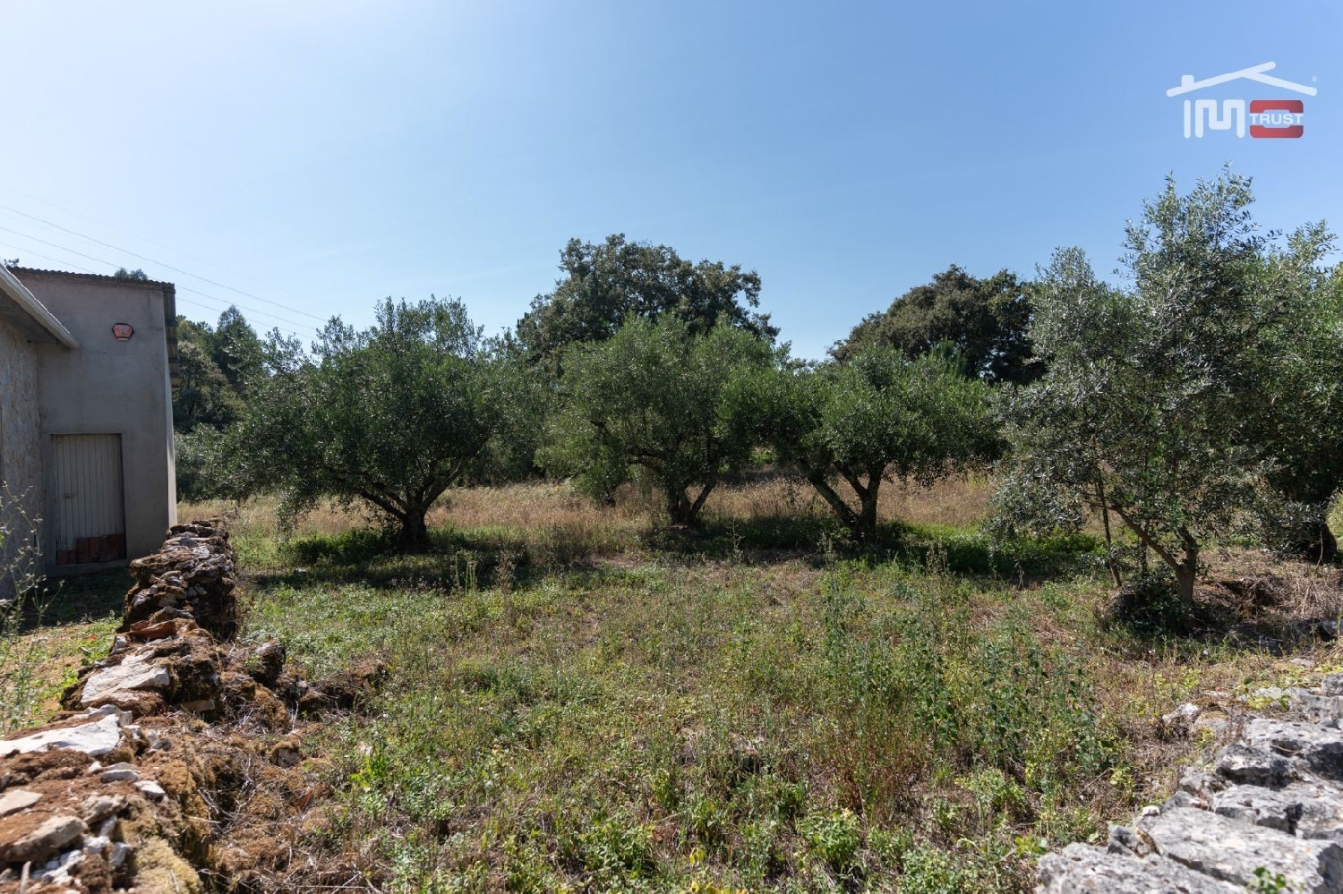 à vendre terrain Faniqueira Batalha 3