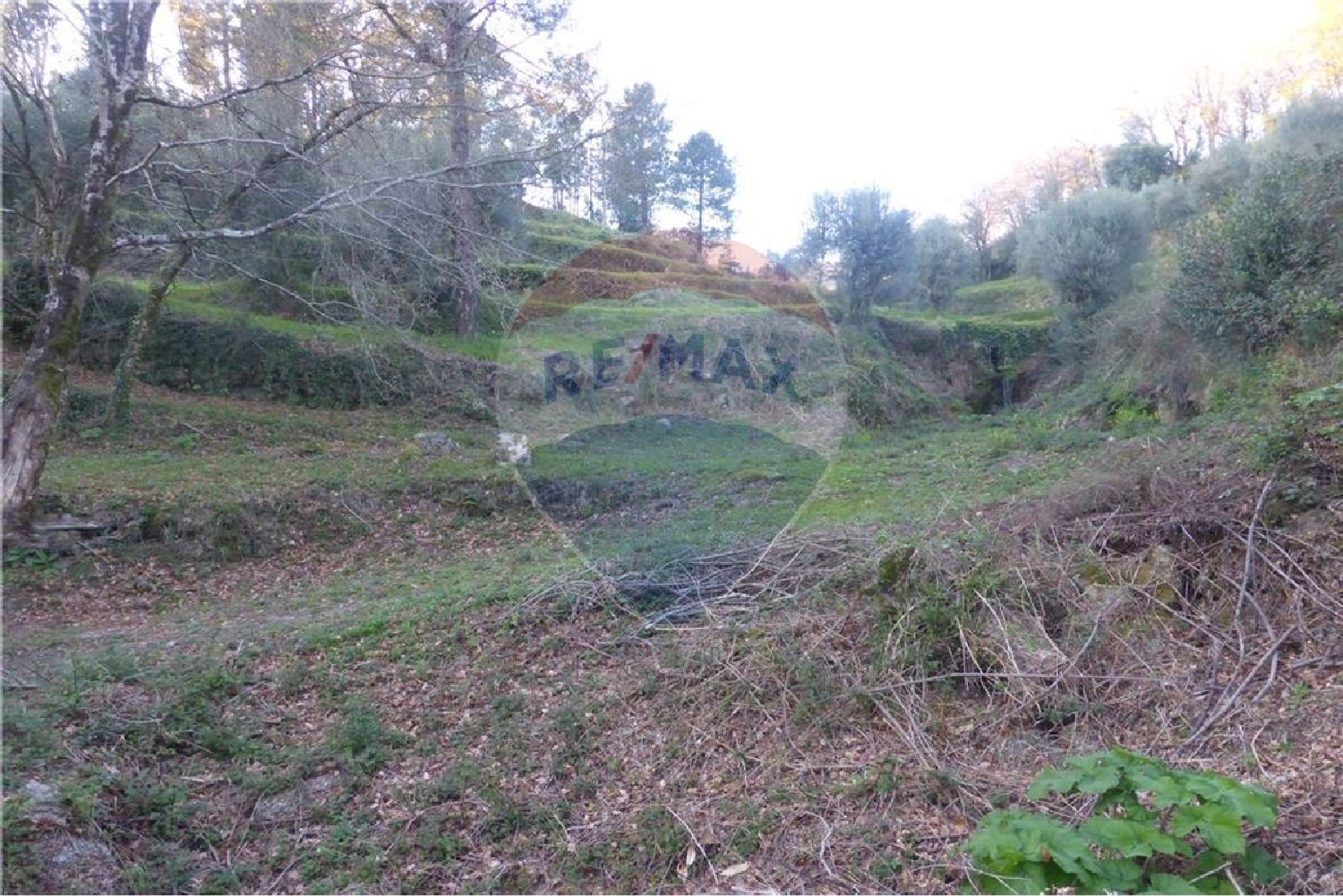  à vendre terrain Faria Barcelos 3