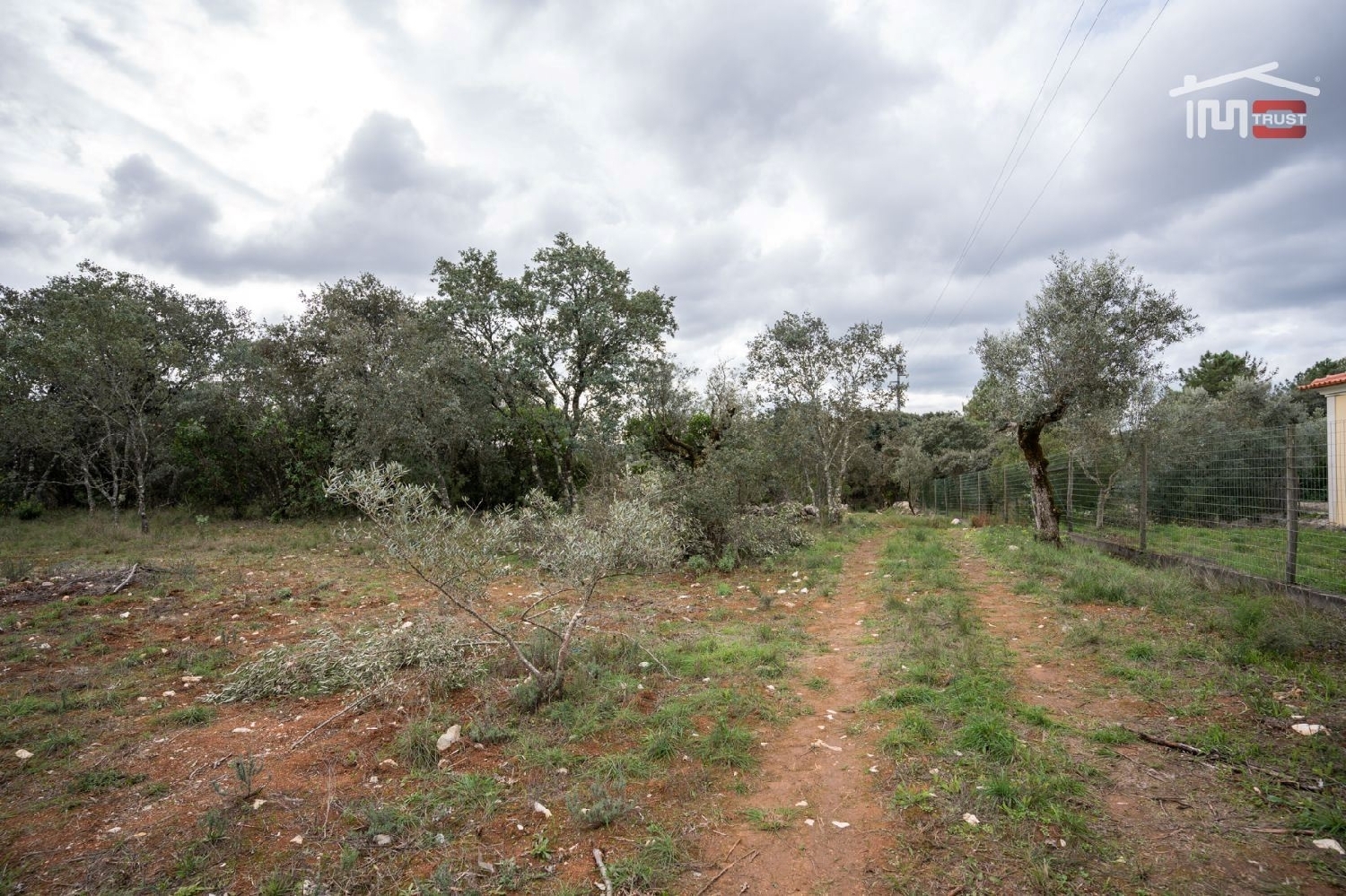 for sale terrain Fátima Ourém 3