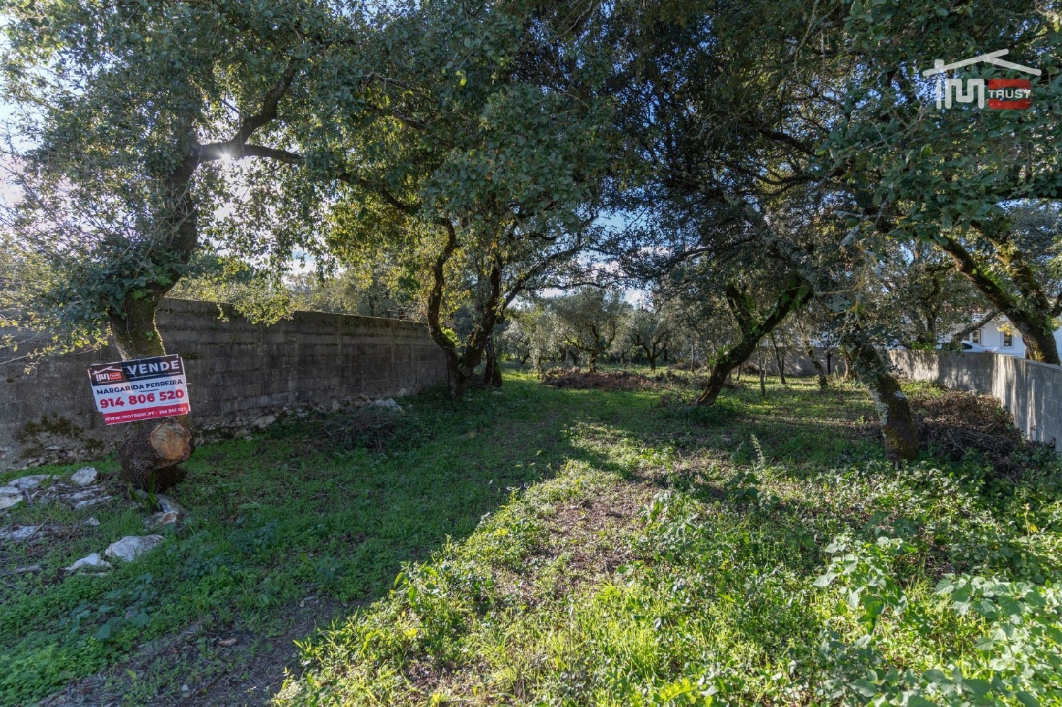  for sale terrain Fátima Ourém 1