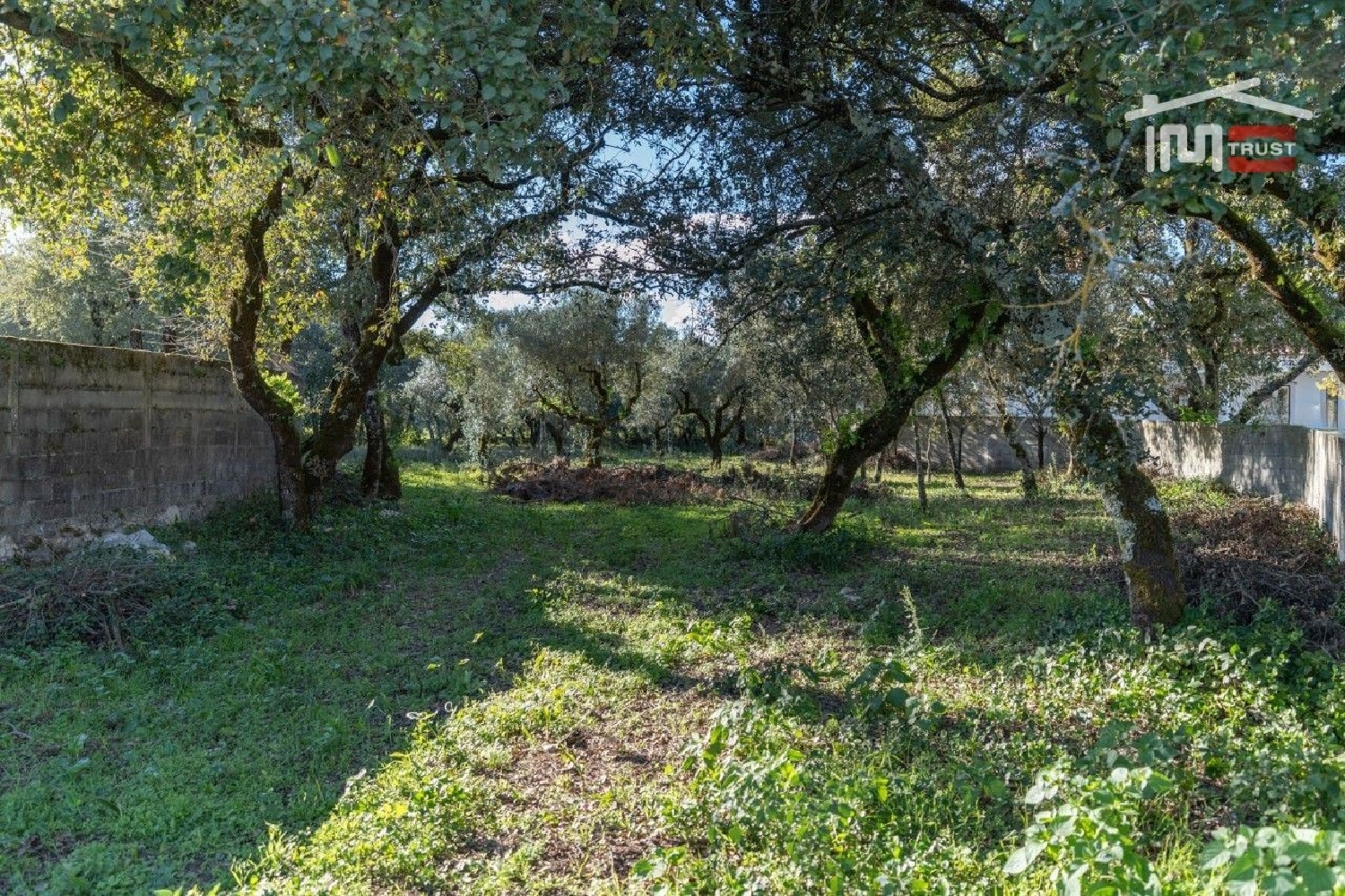 for sale terrain Fátima Ourém 2