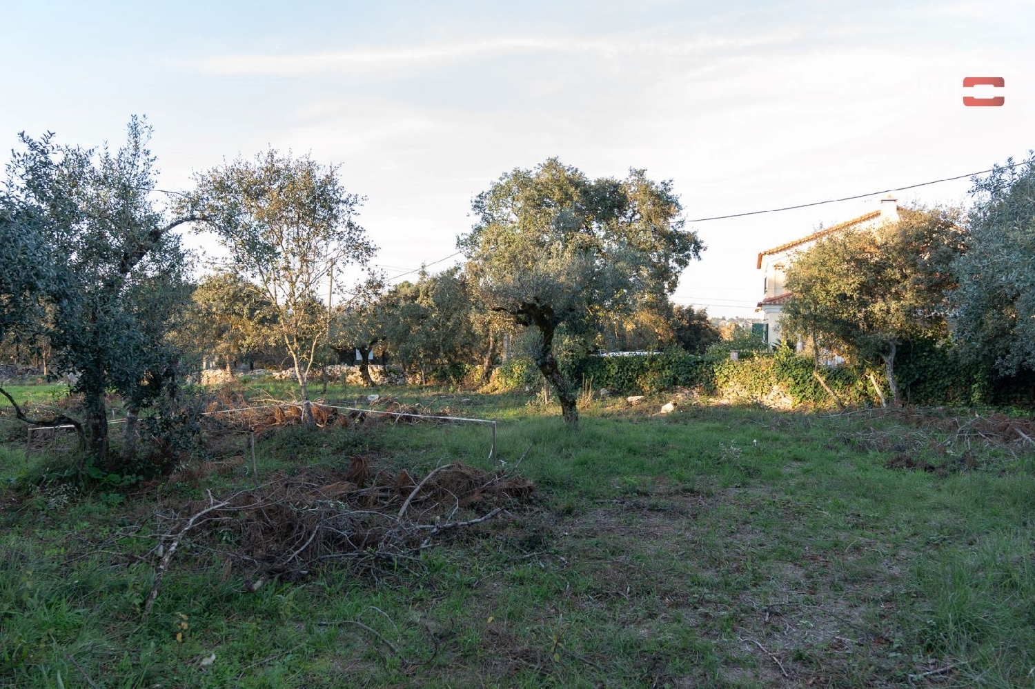 for sale terrain Fátima Ourém 2