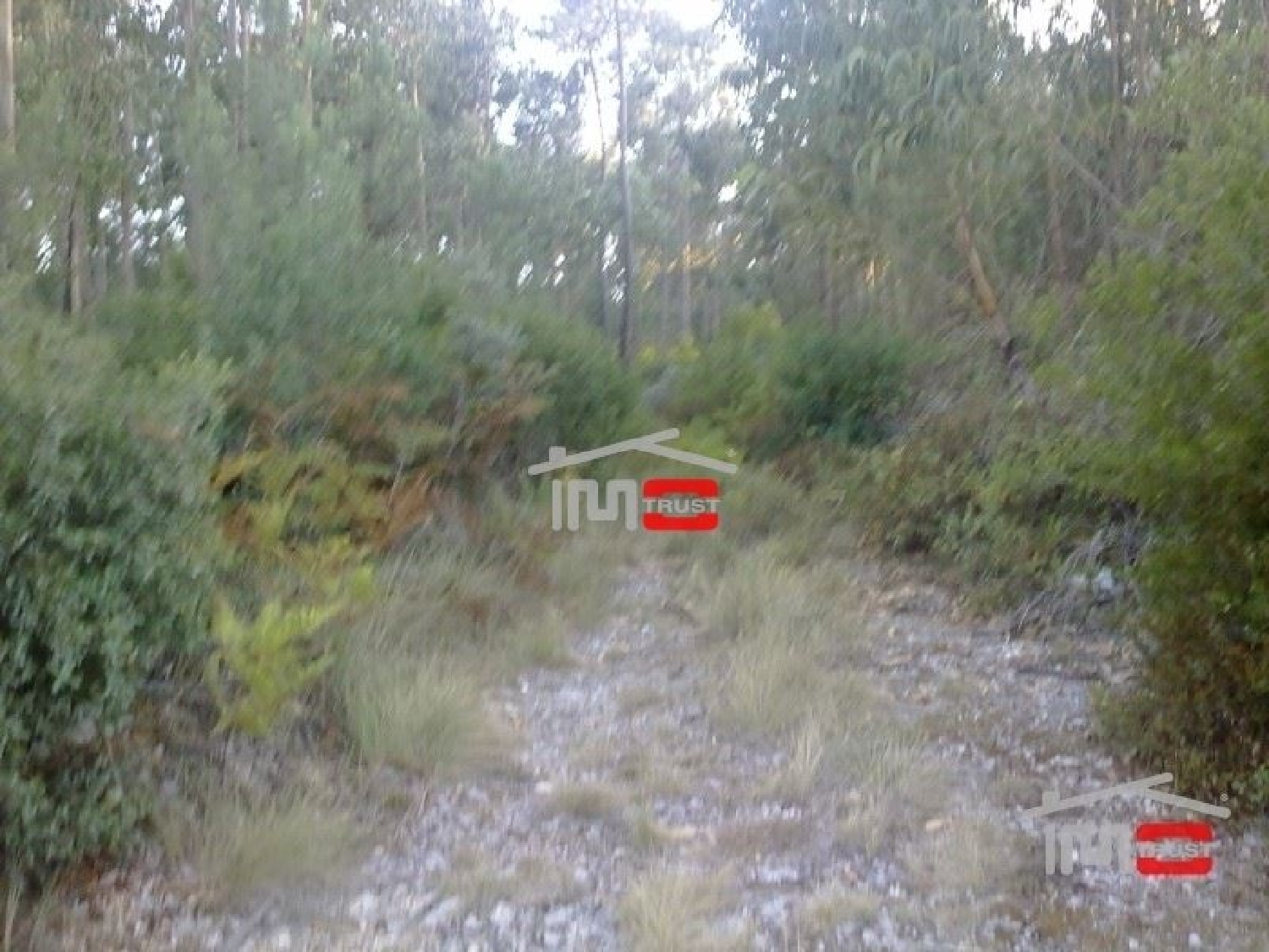  for sale terrain Fátima Ourém 1
