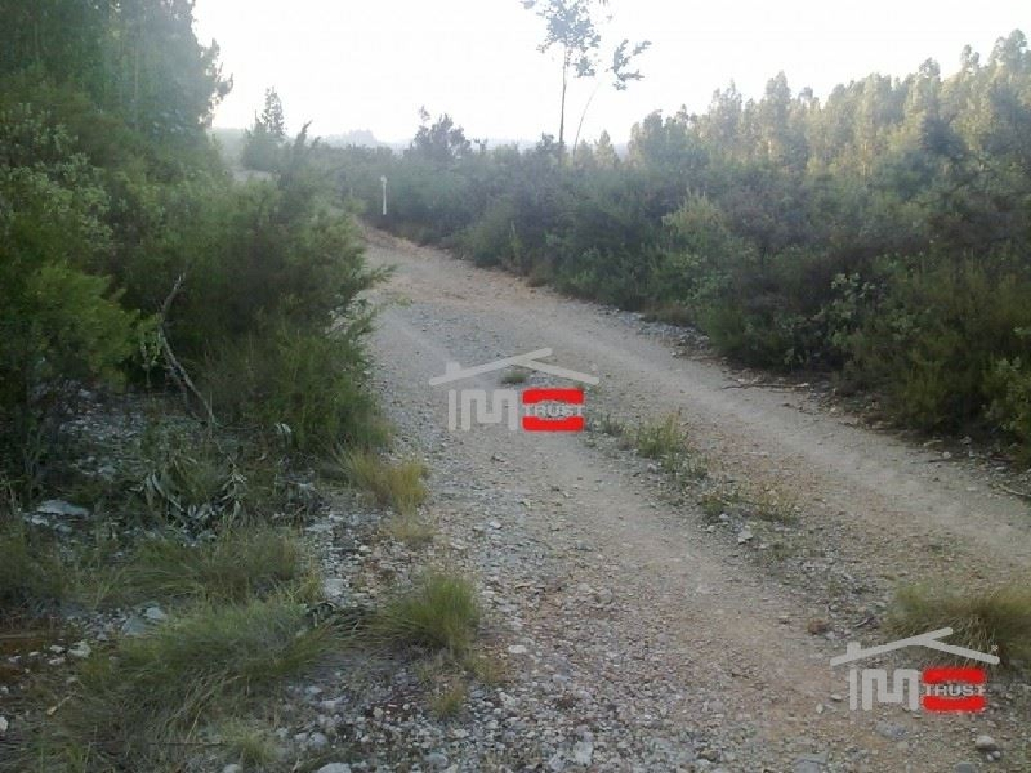 for sale terrain Fátima Ourém 3