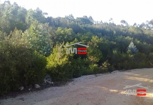 Fátima Ourém 土地 foto 326564