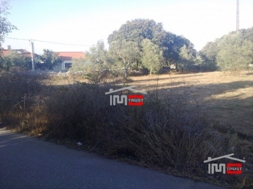 Fátima Ourém 土地 foto 326565