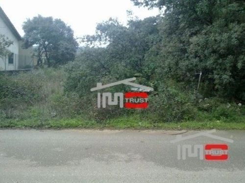 Fátima Ourém 土地 foto 326567