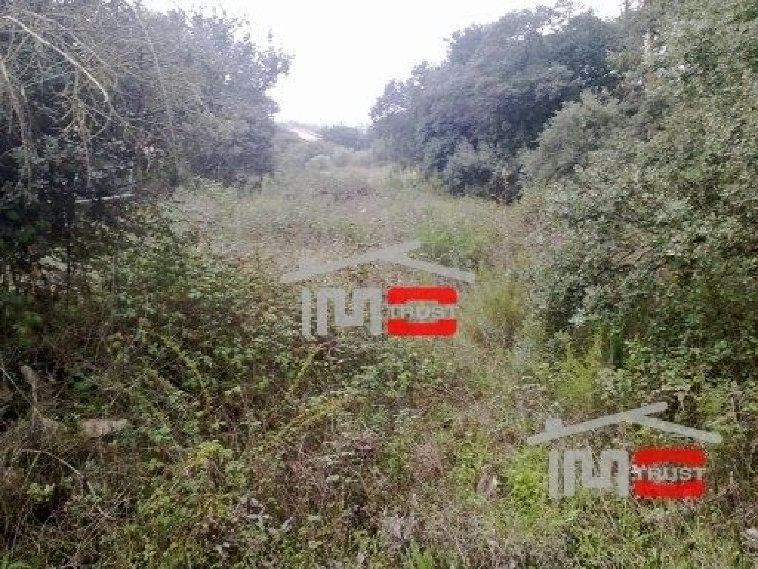 te koop terrein Fátima Ourém 2