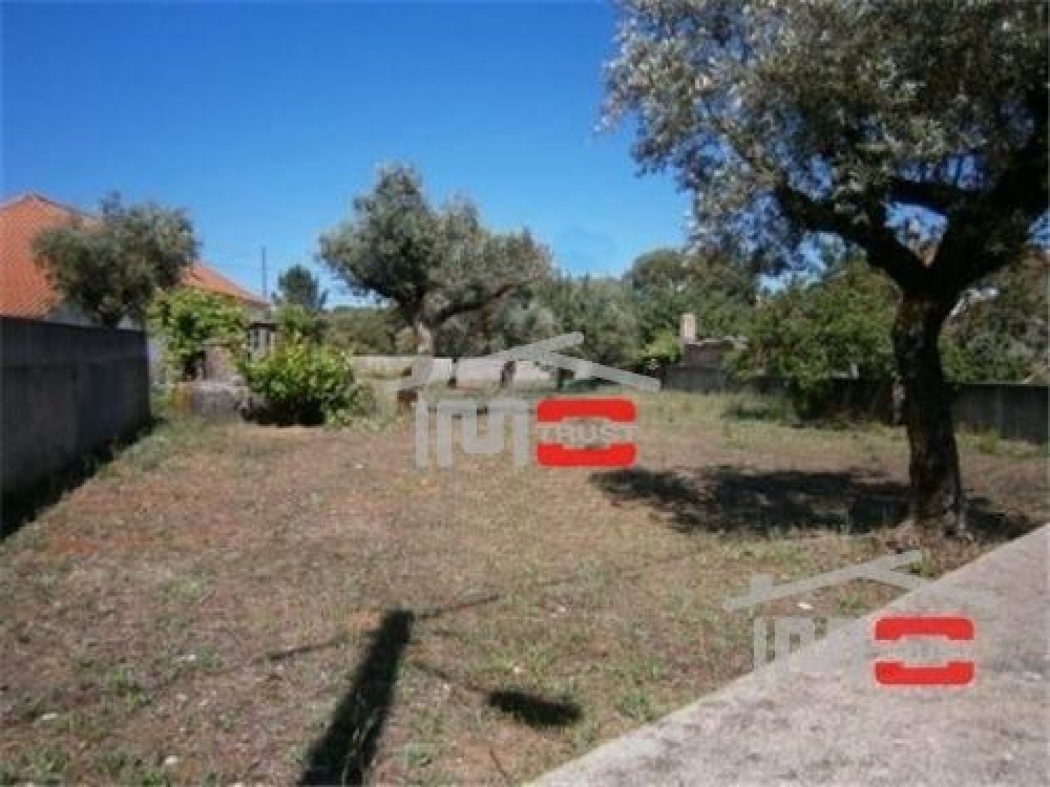  te koop terrein Fátima Ourém 3
