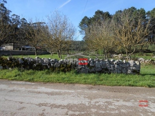 Fátima Ourém 土地 foto 326598