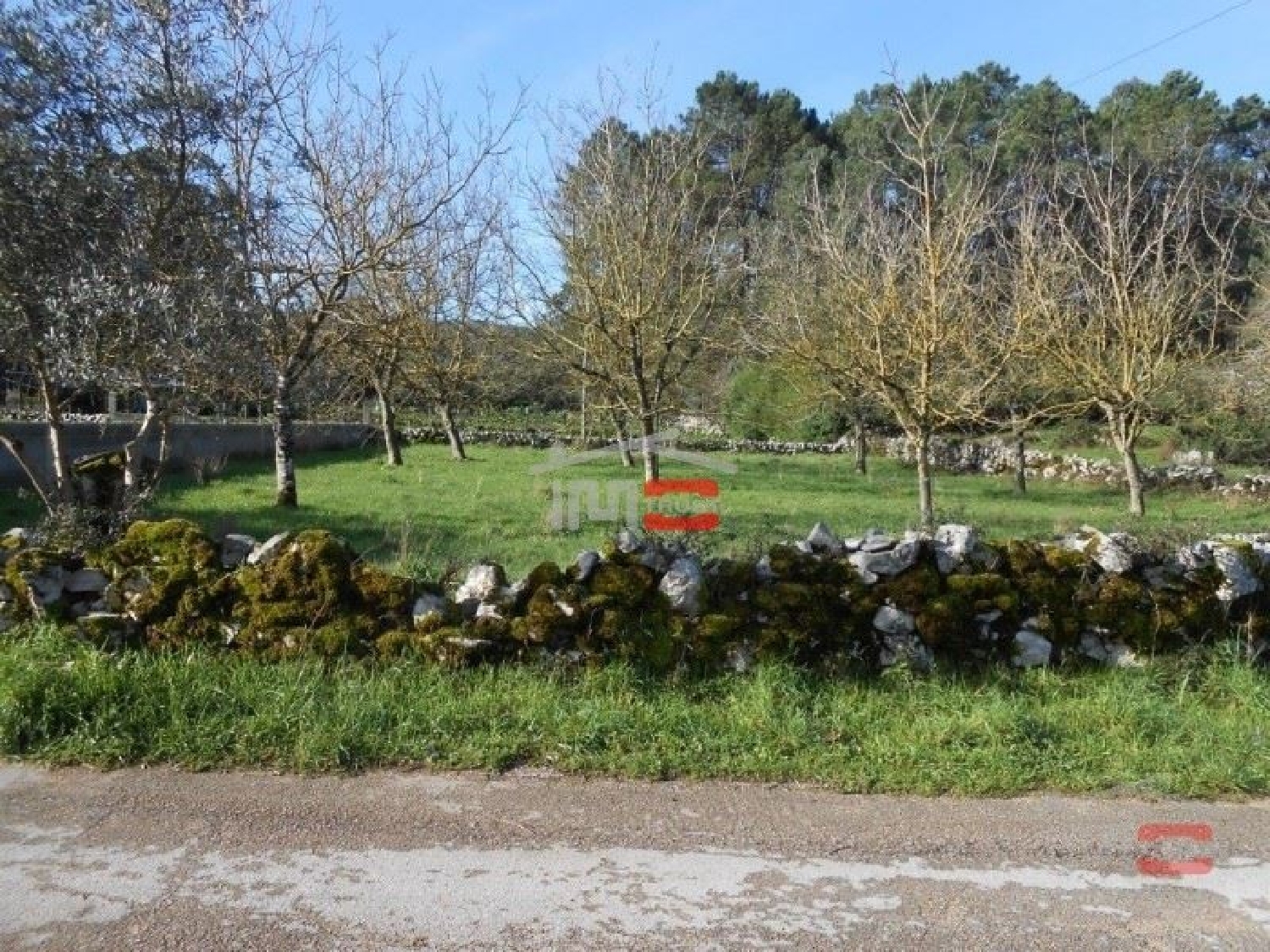  te koop terrein Fátima Ourém 2