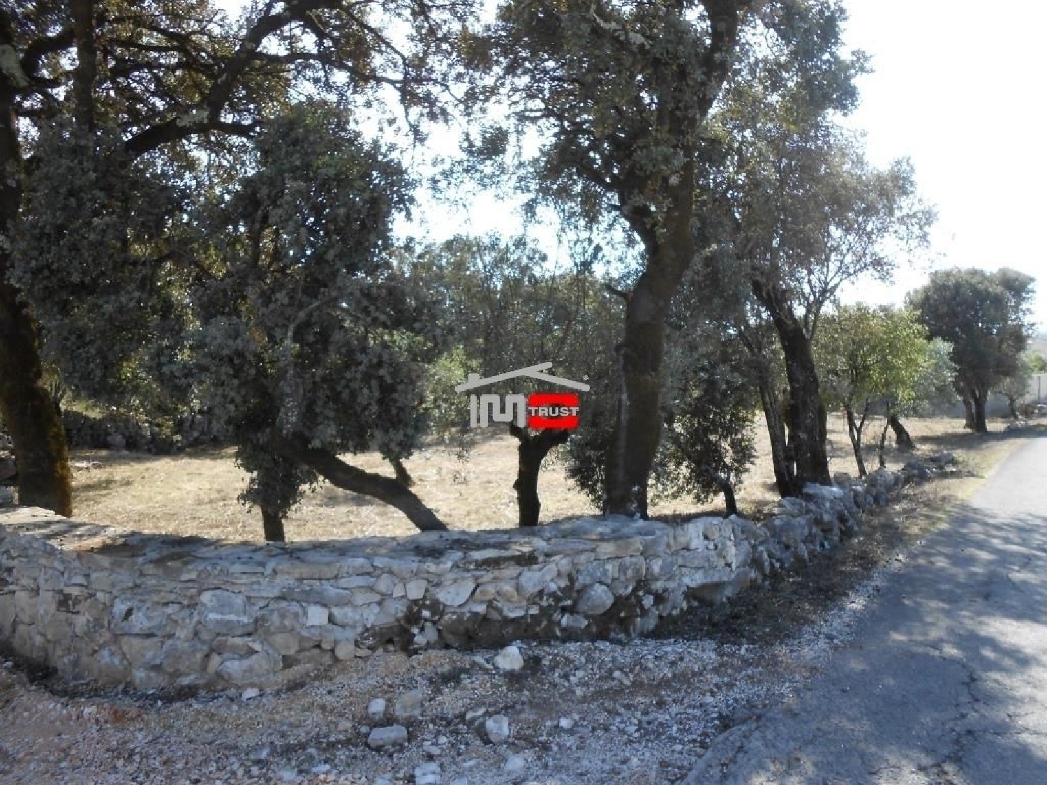  te koop terrein Fátima Ourém 1