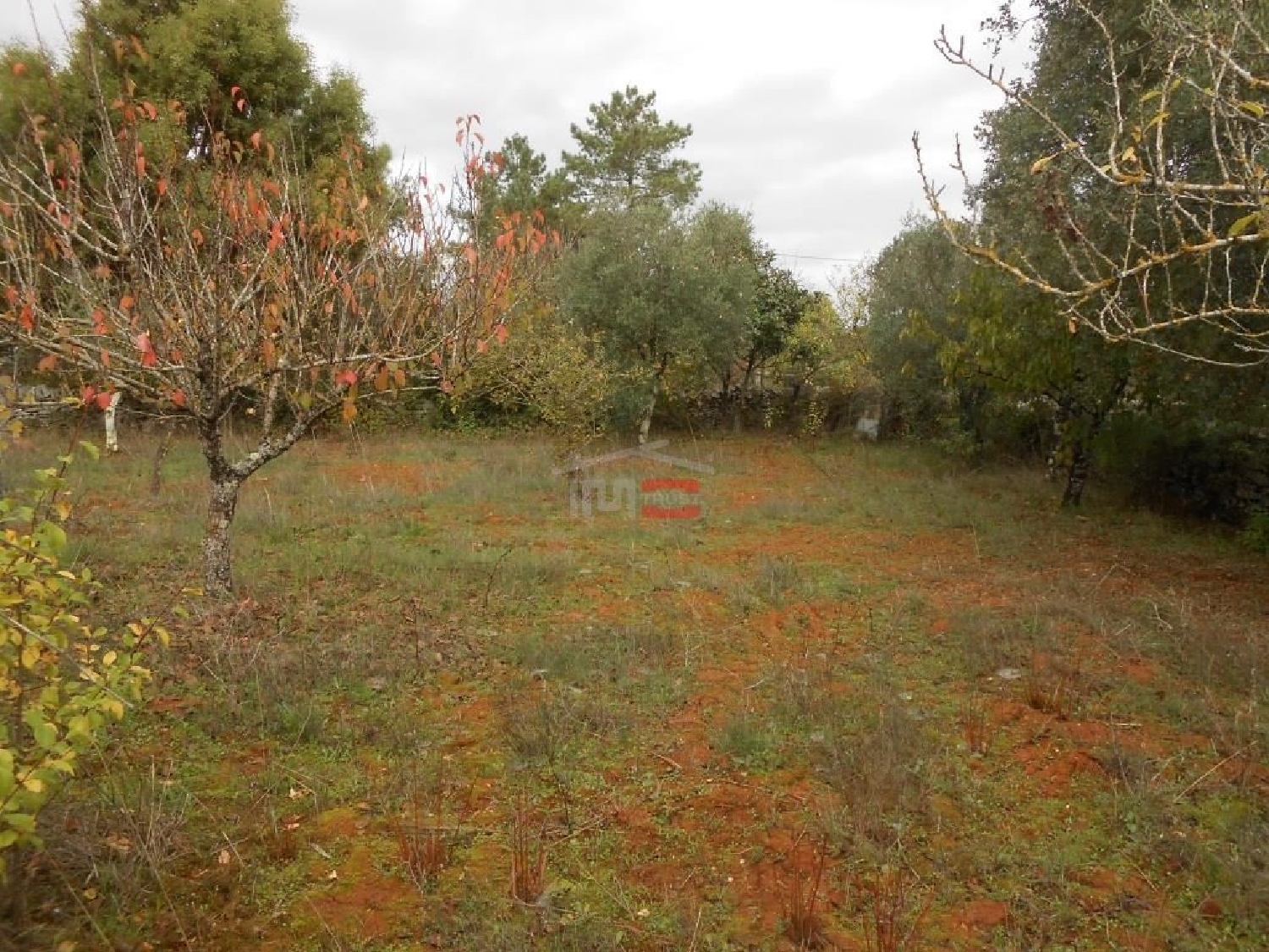  te koop terrein Fátima Ourém 1