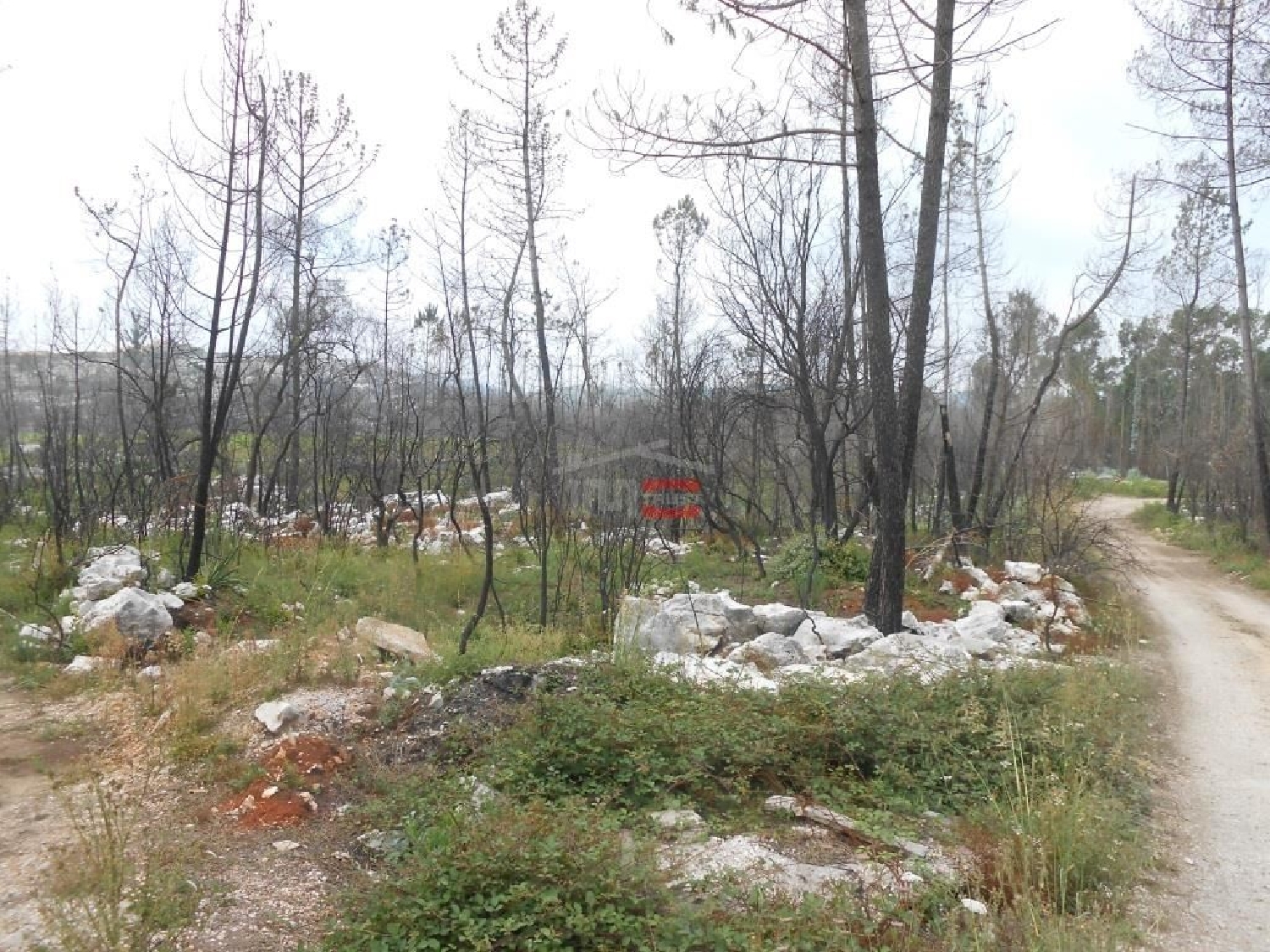  for sale terrain Fátima Ourém 1