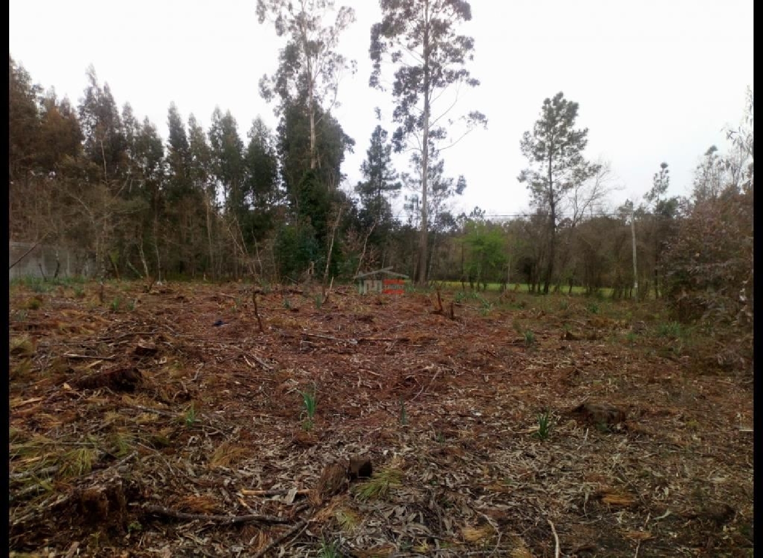 for sale terrain Fátima Ourém 2