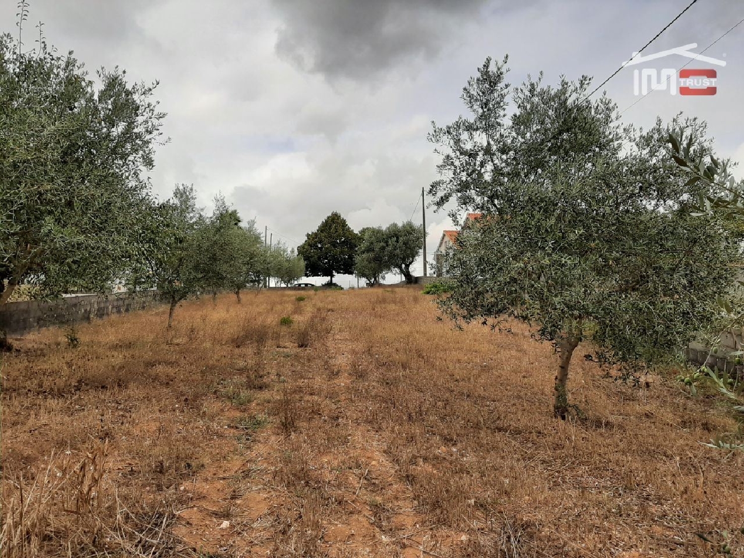  te koop terrein Fátima Ourém 2
