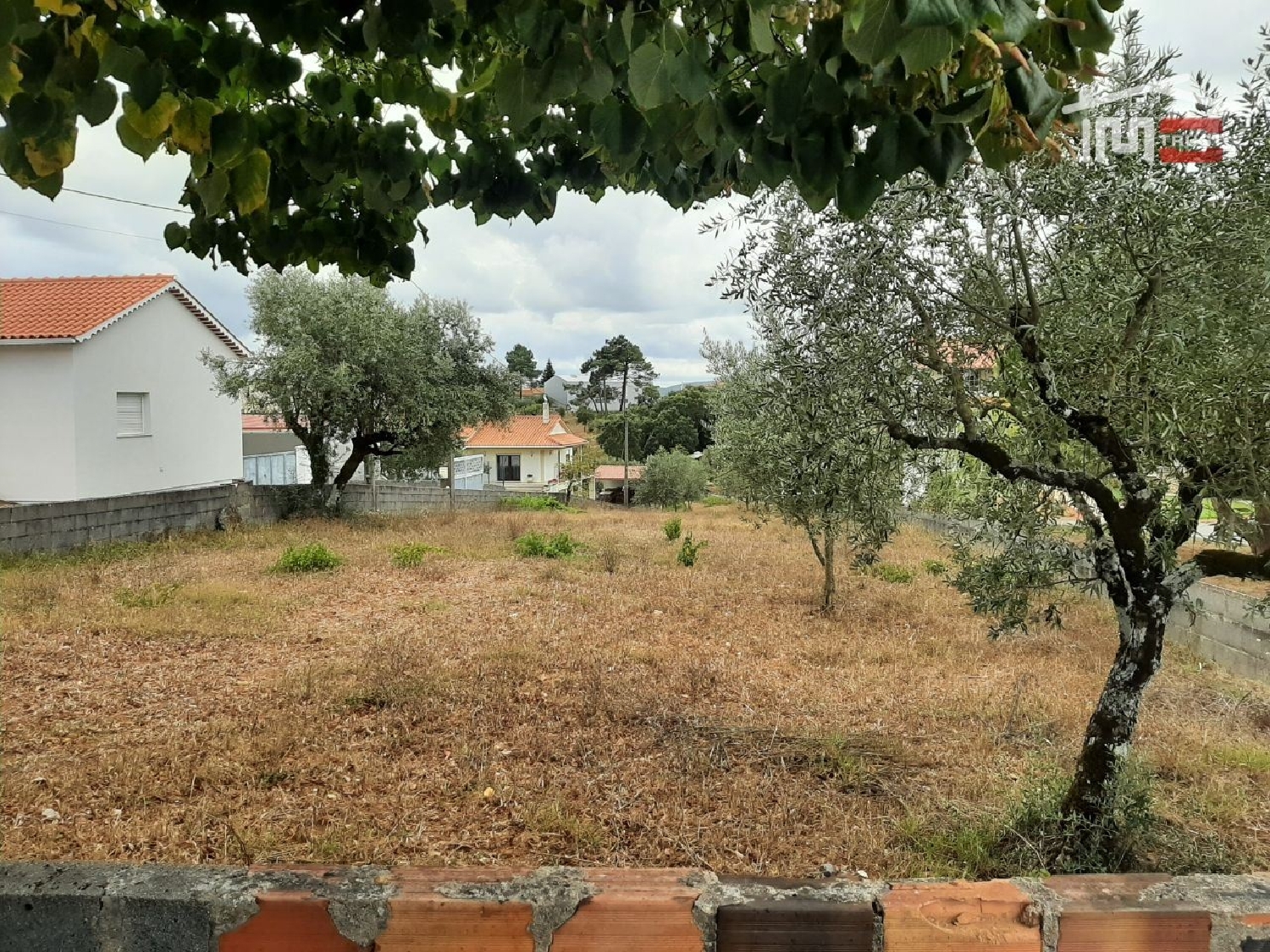  te koop terrein Fátima Ourém 3