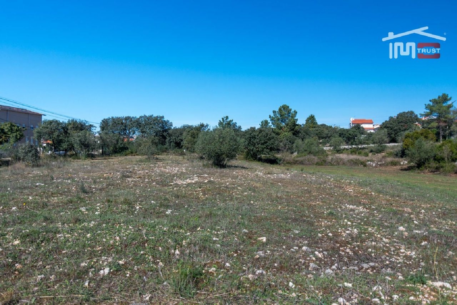 for sale terrain Fátima Ourém 3