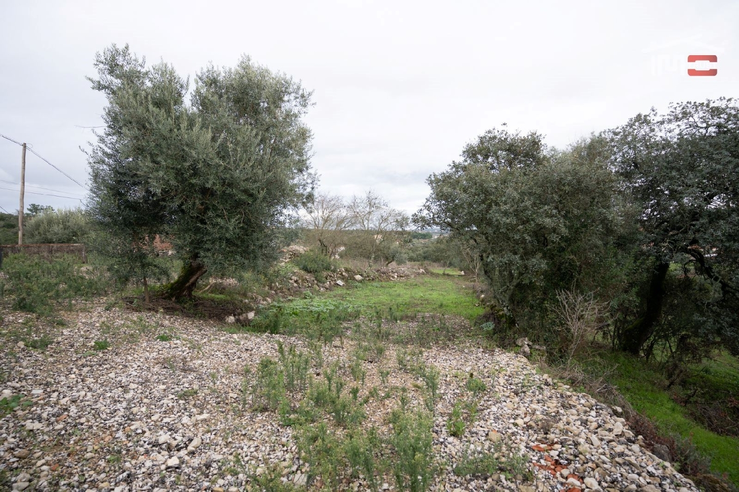 à vendre terrain Fátima Ourém 2