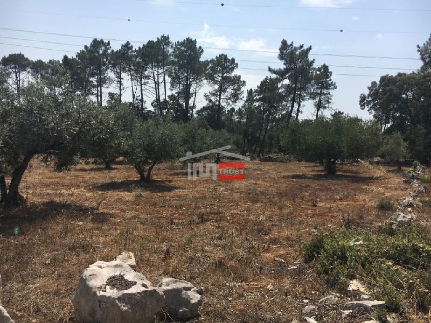 te koop terrein Fátima Ourém 2