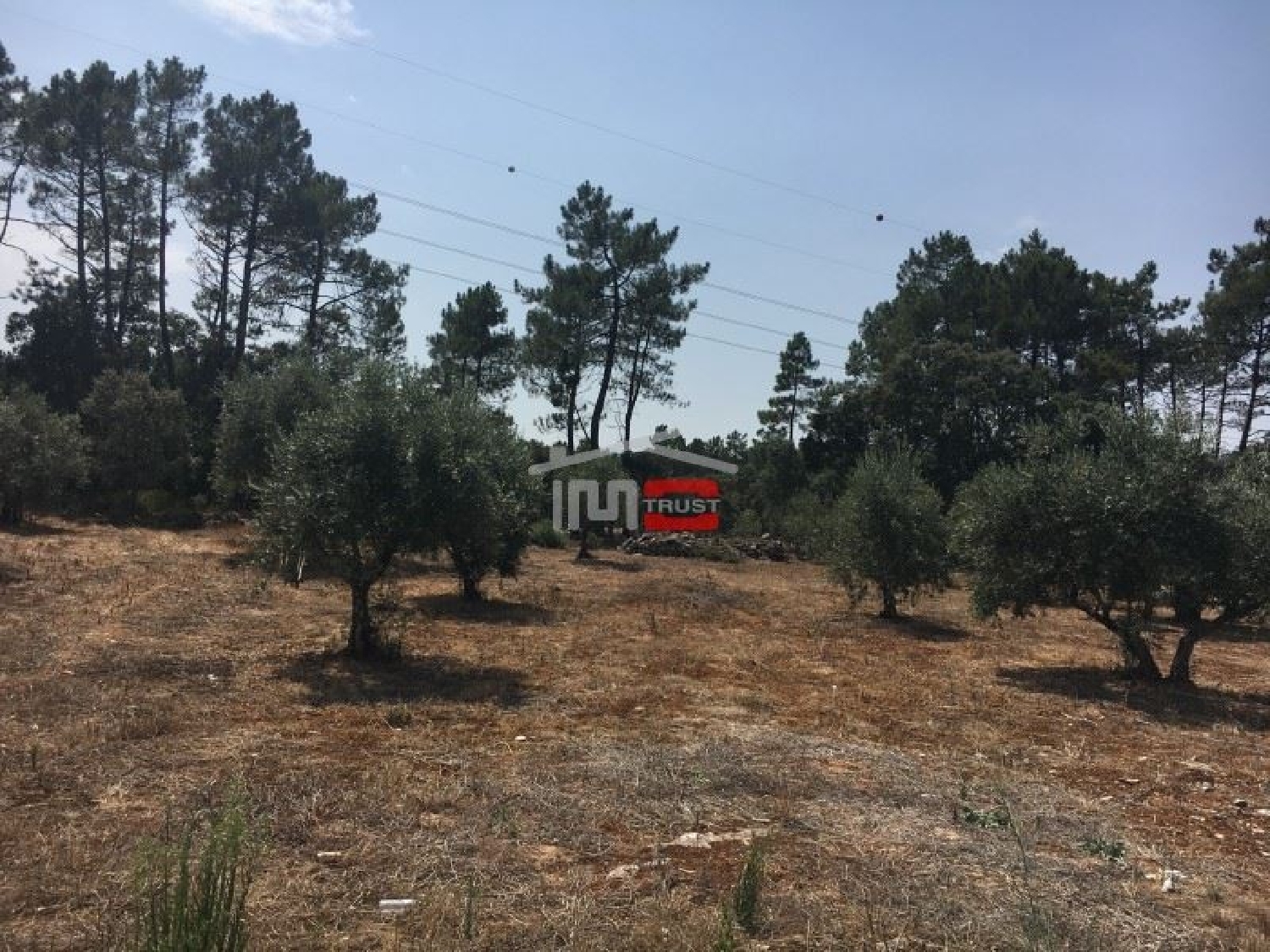 te koop terrein Fátima Ourém 3