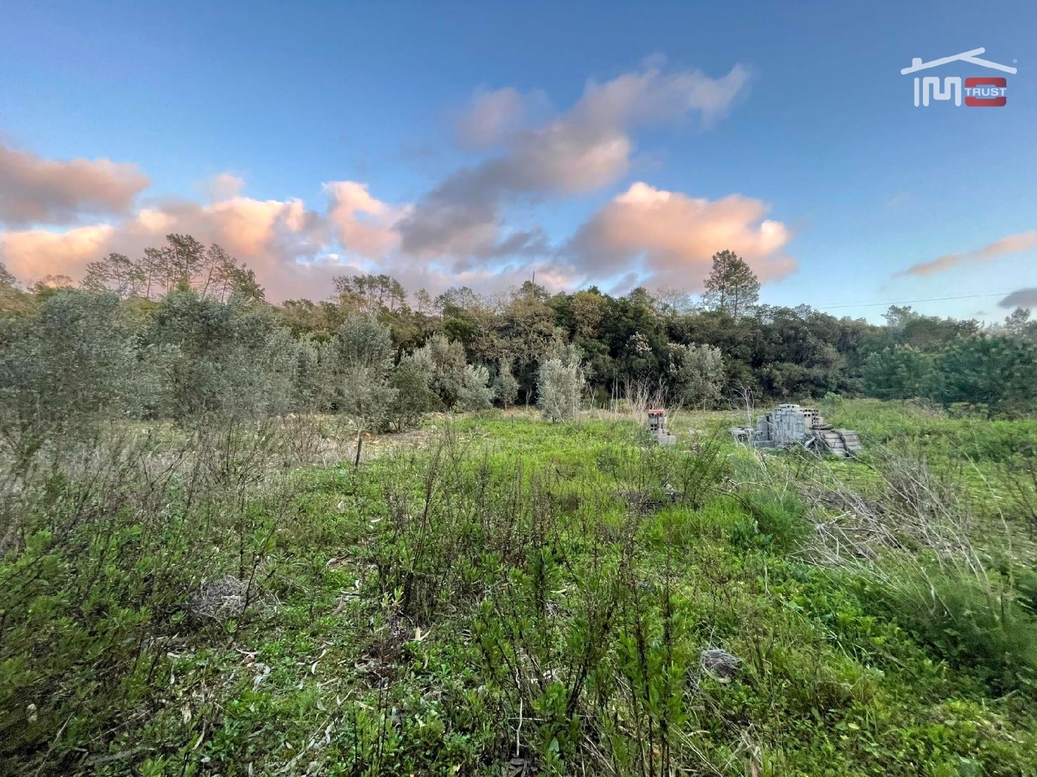 for sale terrain Fátima Ourém 3
