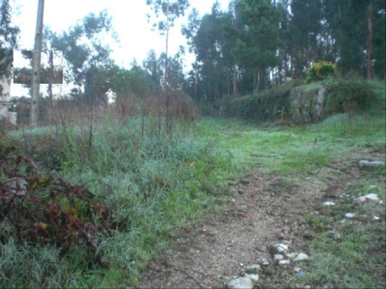 te koop terrein Fermentões Sabrosa 3