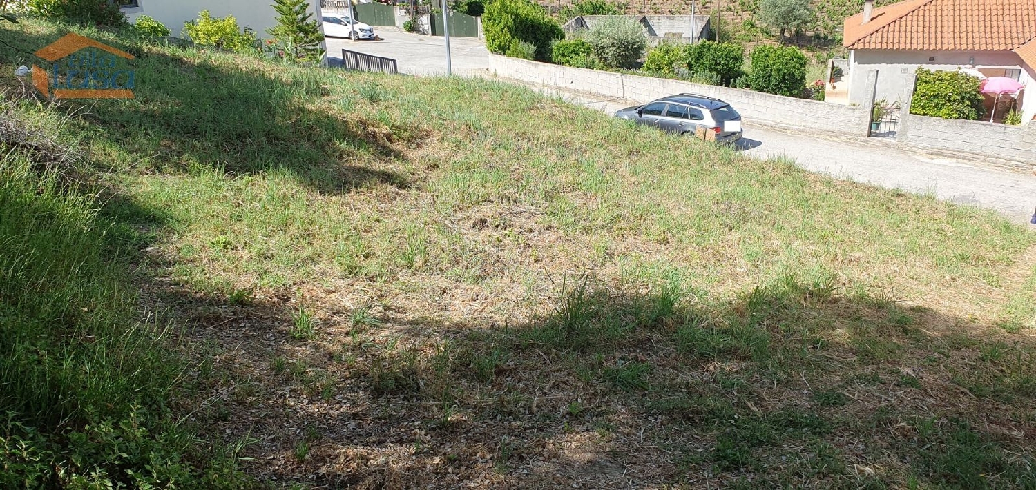  kaufen Grundstück Folgosa Viseu 1