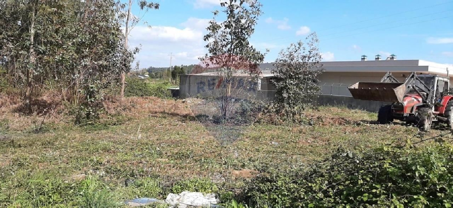  kaufen Grundstück Folgosa Viseu 3