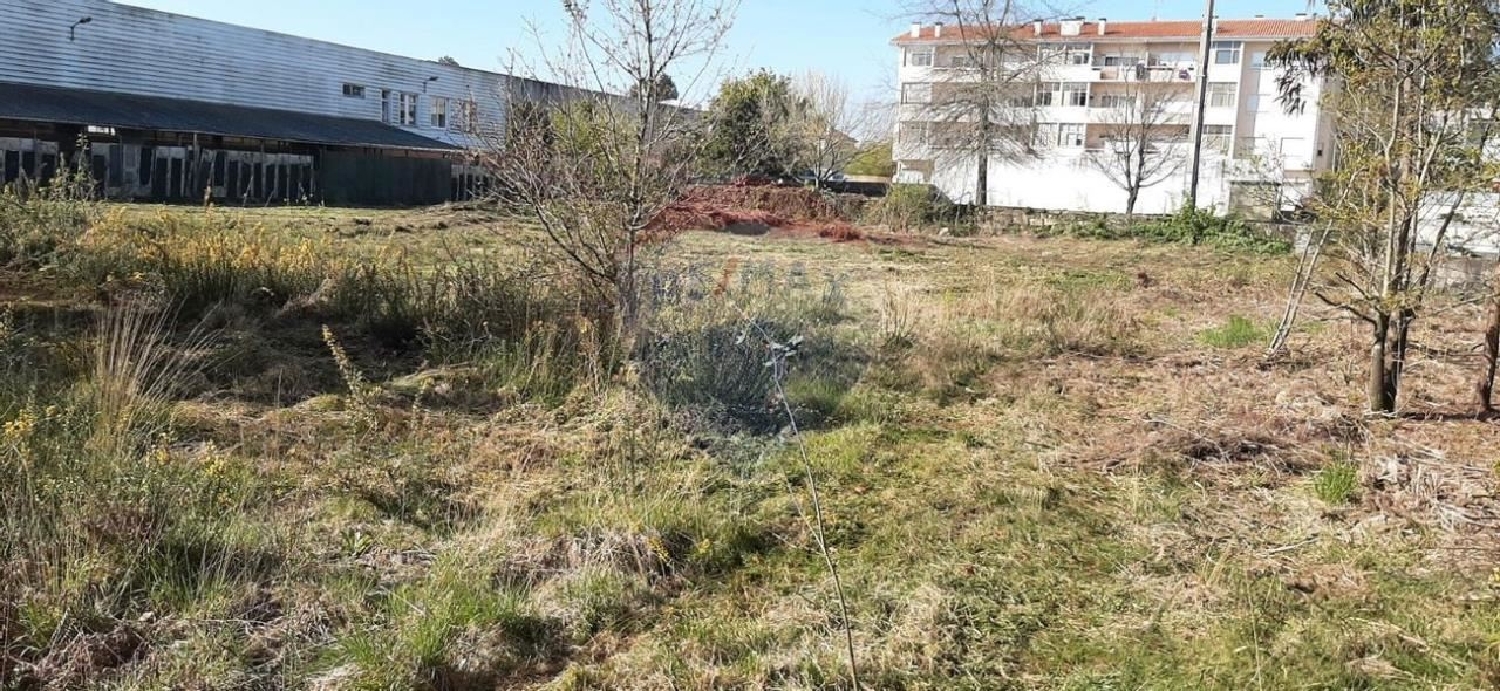  kaufen Grundstück Folgosa Viseu 2