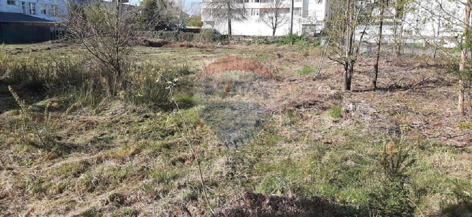  kaufen Grundstück Folgosa Viseu 3