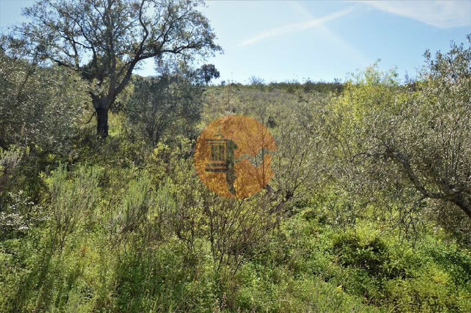 te koop terrein Fonte Albufeira 3