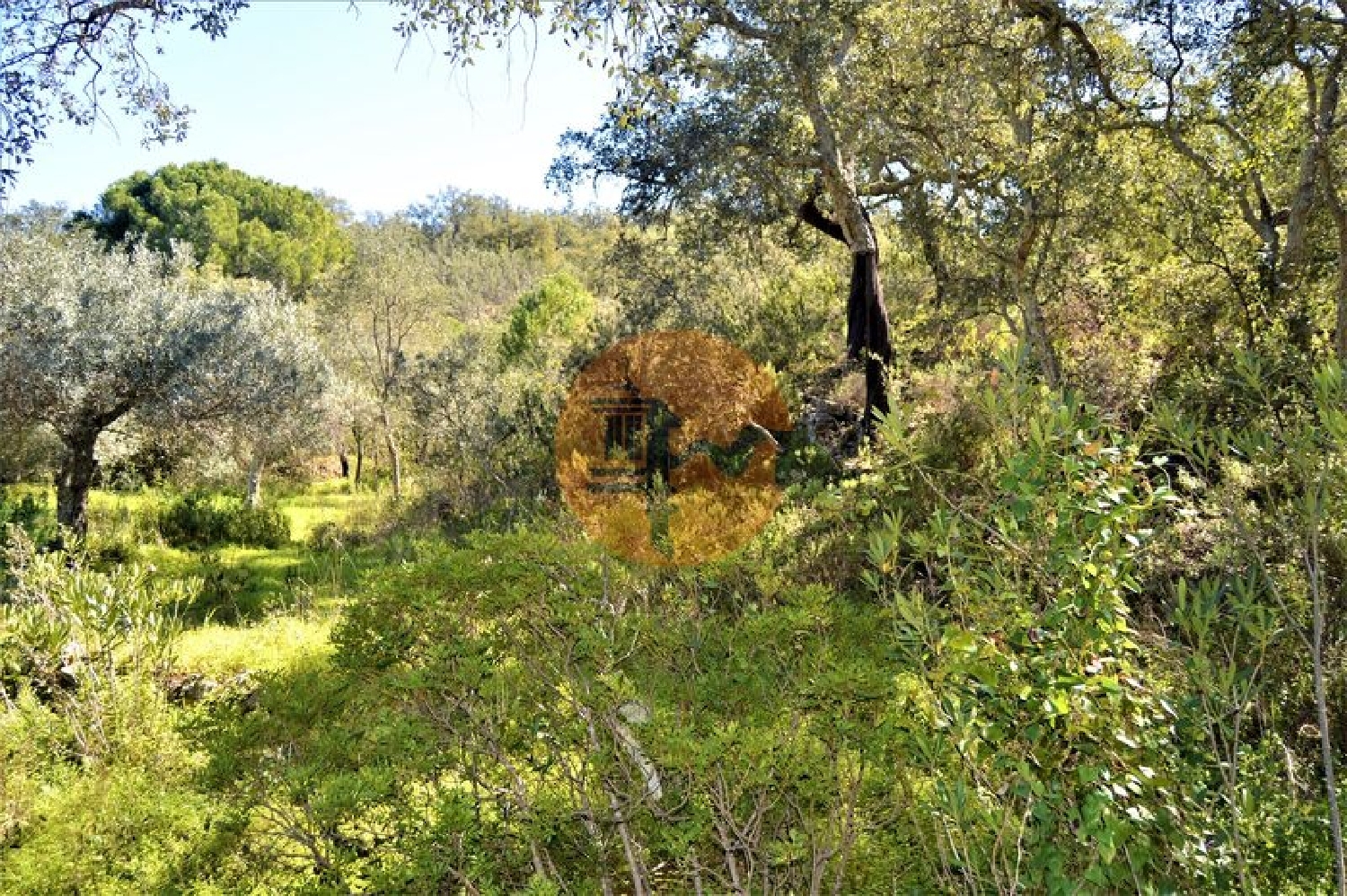  te koop terrein Fonte Albufeira 8