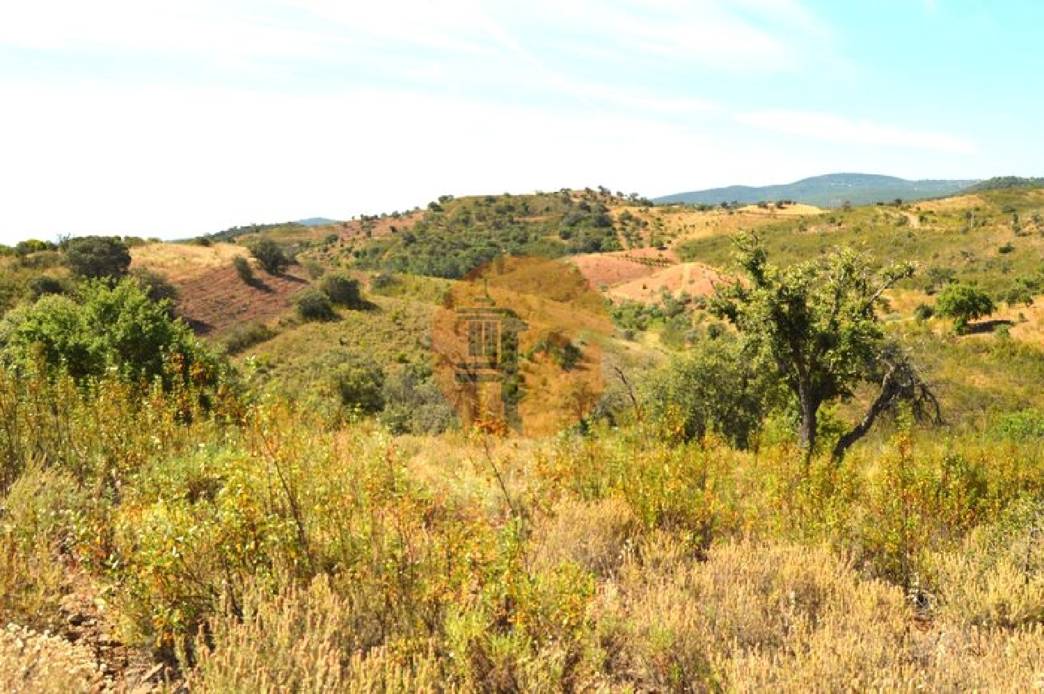  en venta terreno Fonte Albufeira 6