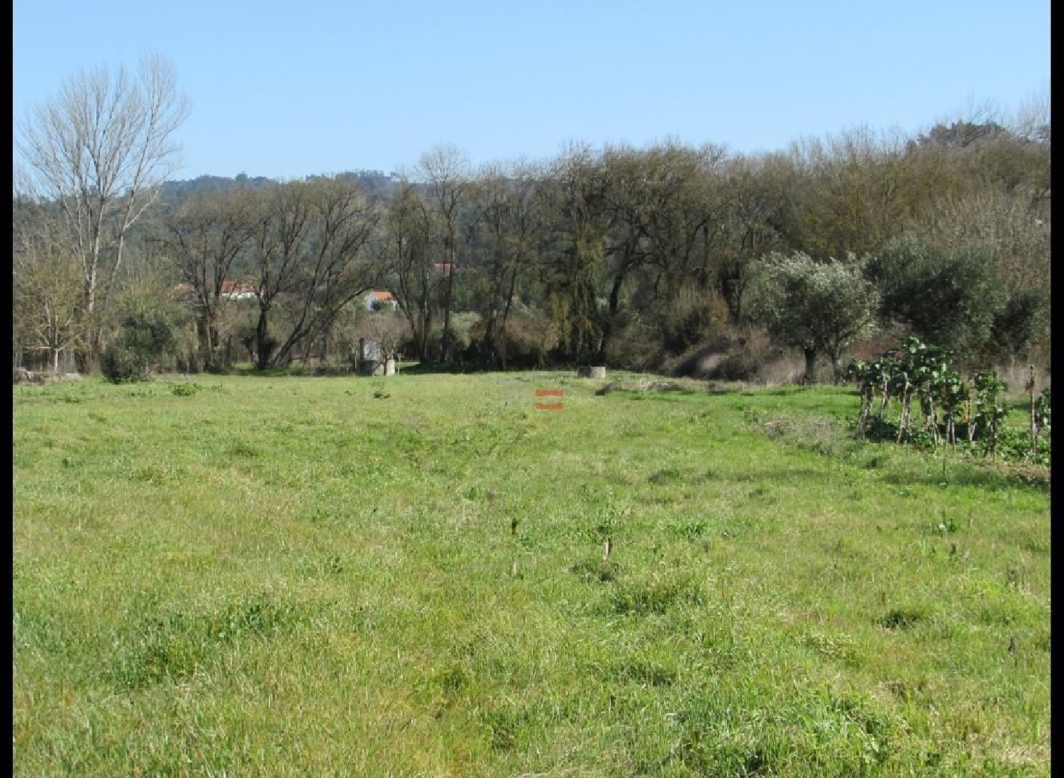 for sale terrain Formigais Ourém 2
