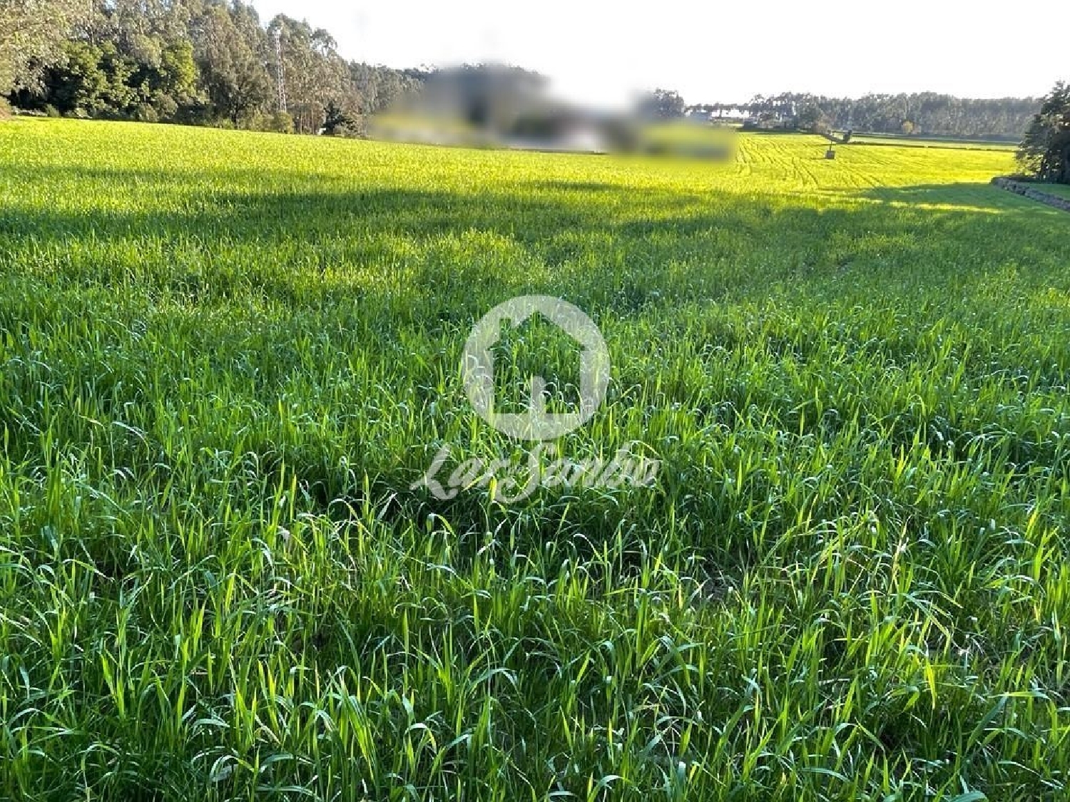 à venda terreno Fornelo Vila Do Conde 2