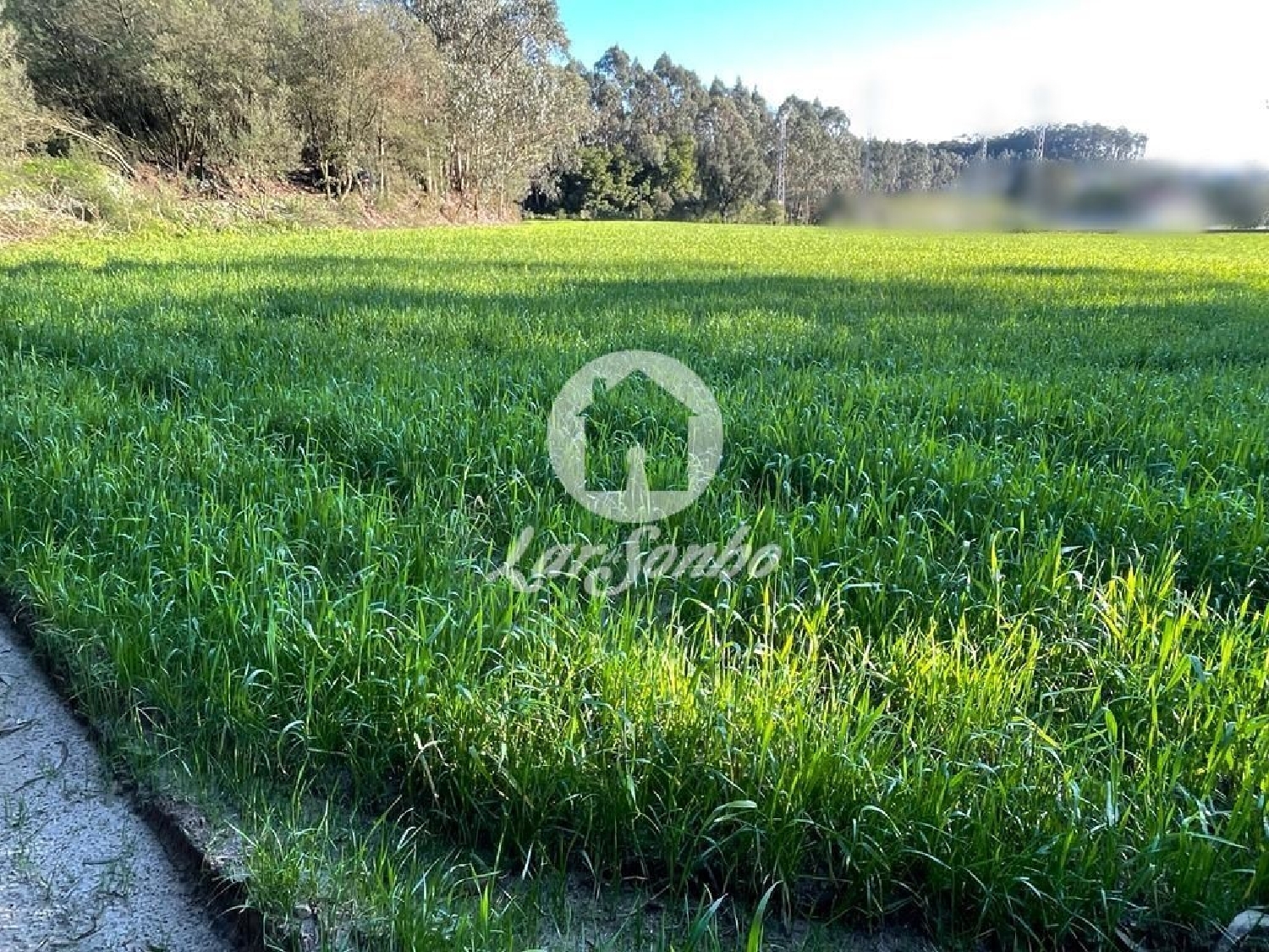 à venda terreno Fornelo Vila Do Conde 3