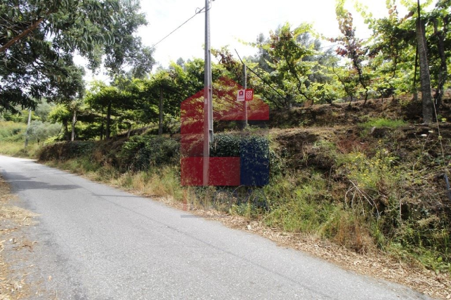  te koop terrein Fornelos Ponte De Lima 1