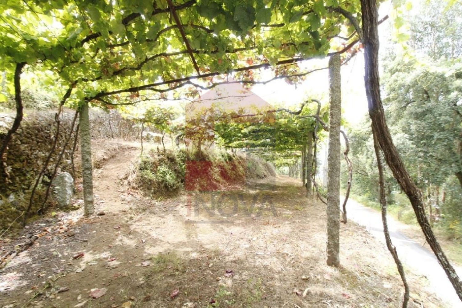 for sale terrain Fornelos Ponte De Lima 2