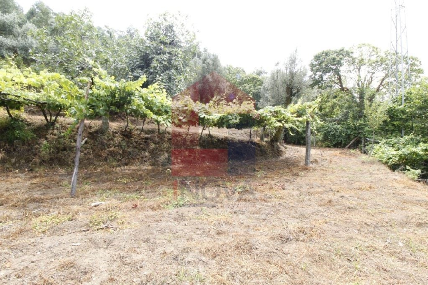 for sale terrain Fornelos Ponte De Lima 3