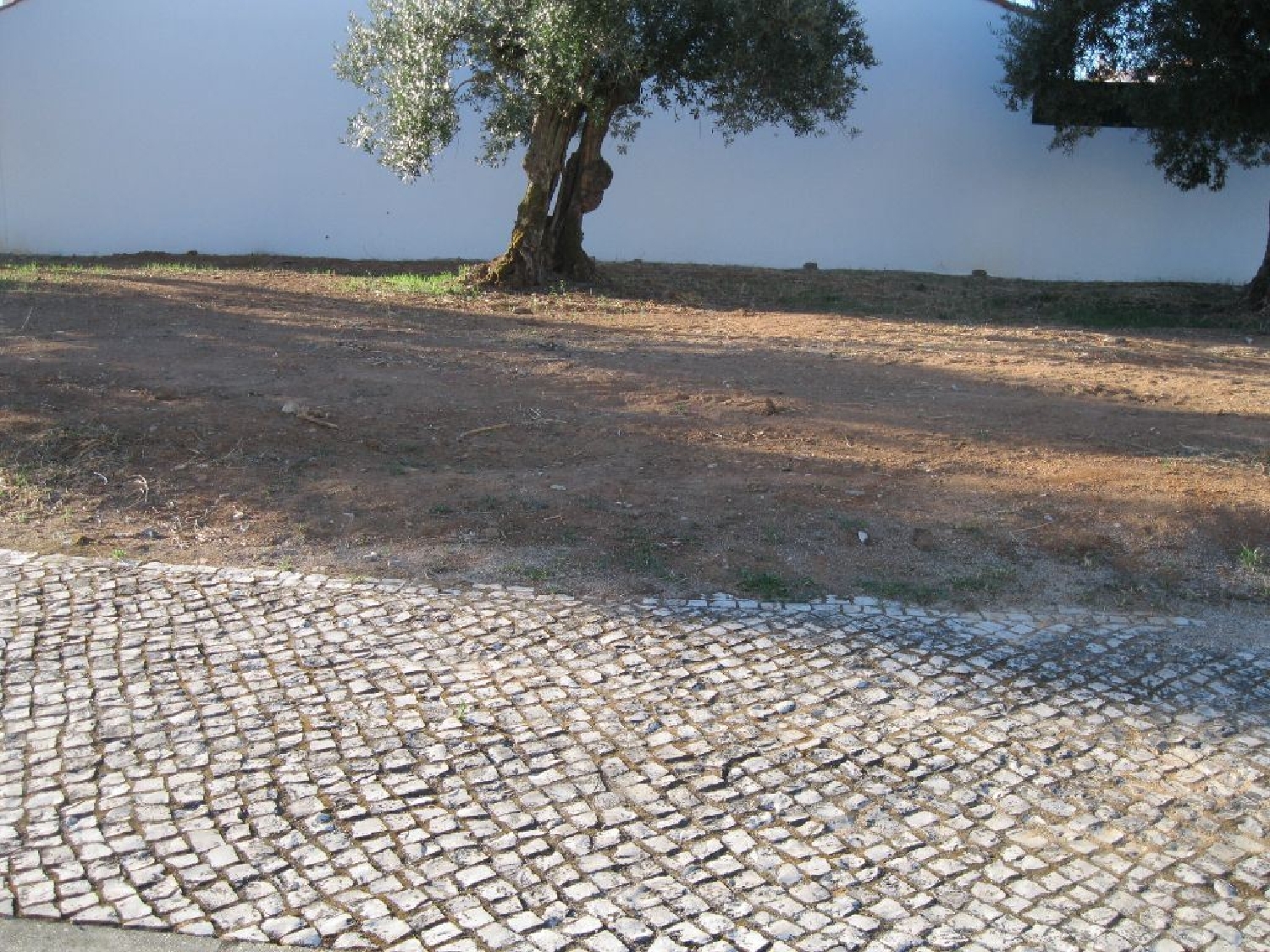  à venda terreno Foros de Macedo Entroncamento 1