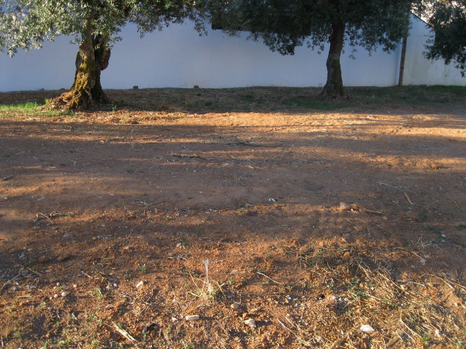 à venda terreno Foros de Macedo Entroncamento 2