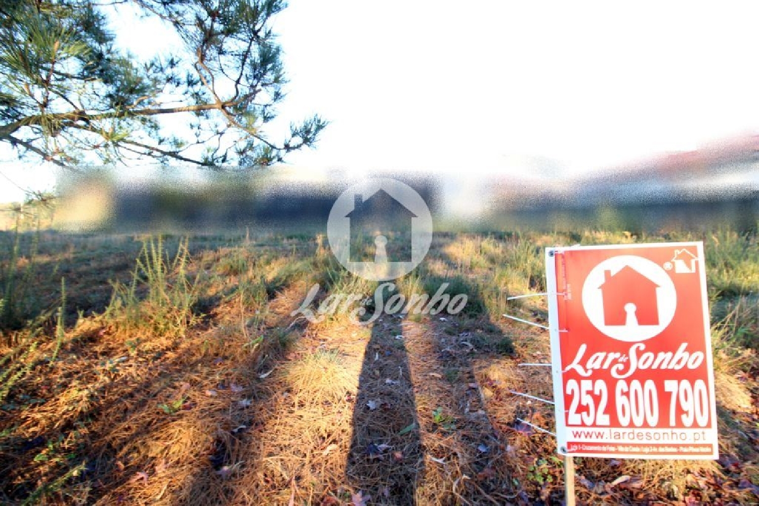 te koop terrein Fradelos Vila Nova De Famalicão 3