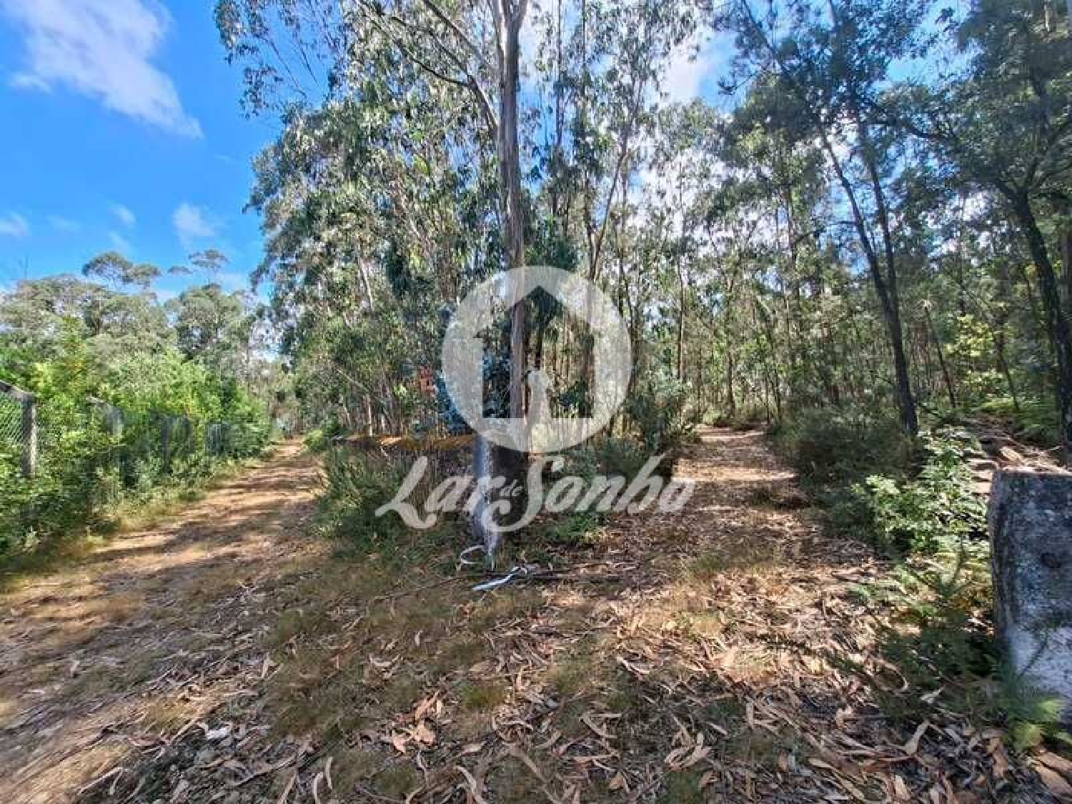  à vendre terrain Fradelos Vila Nova De Famalicão 1