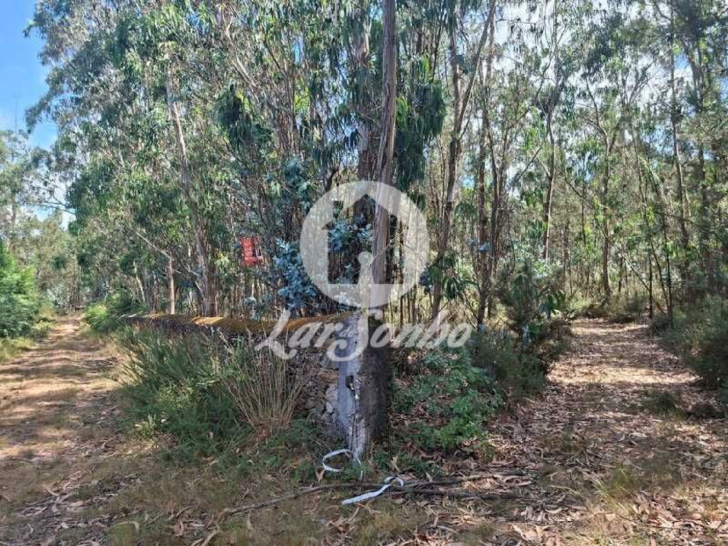 à vendre terrain Fradelos Vila Nova De Famalicão 2