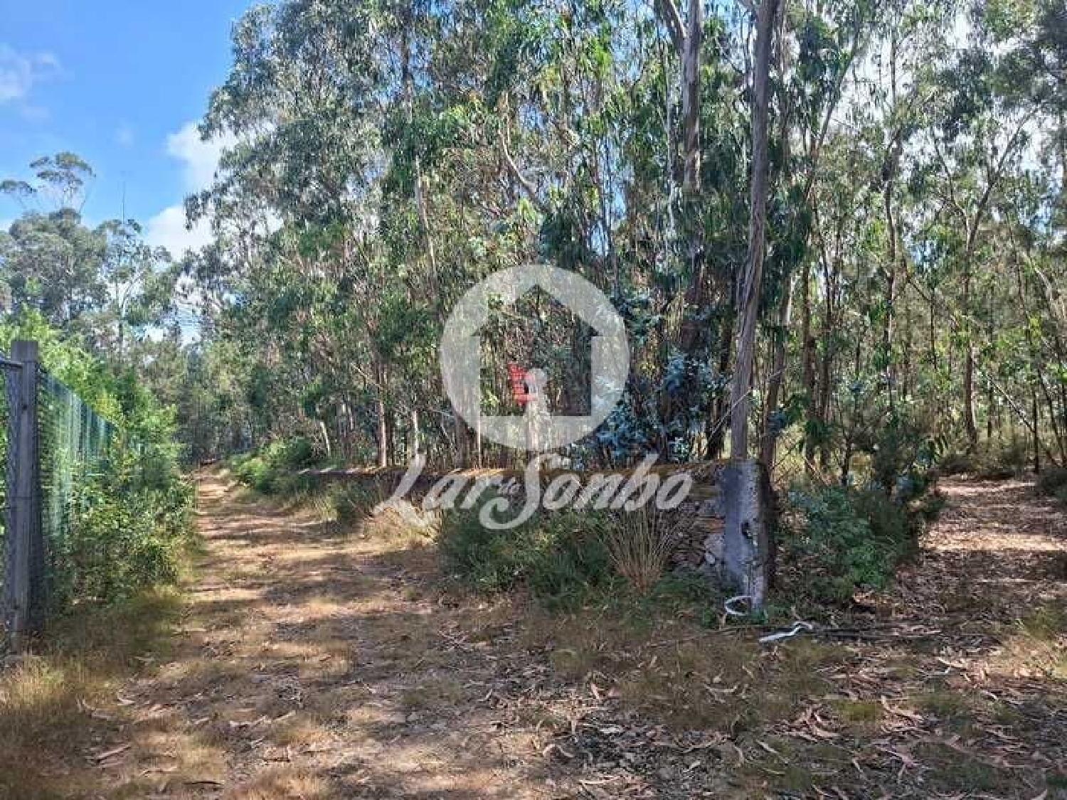 à vendre terrain Fradelos Vila Nova De Famalicão 3