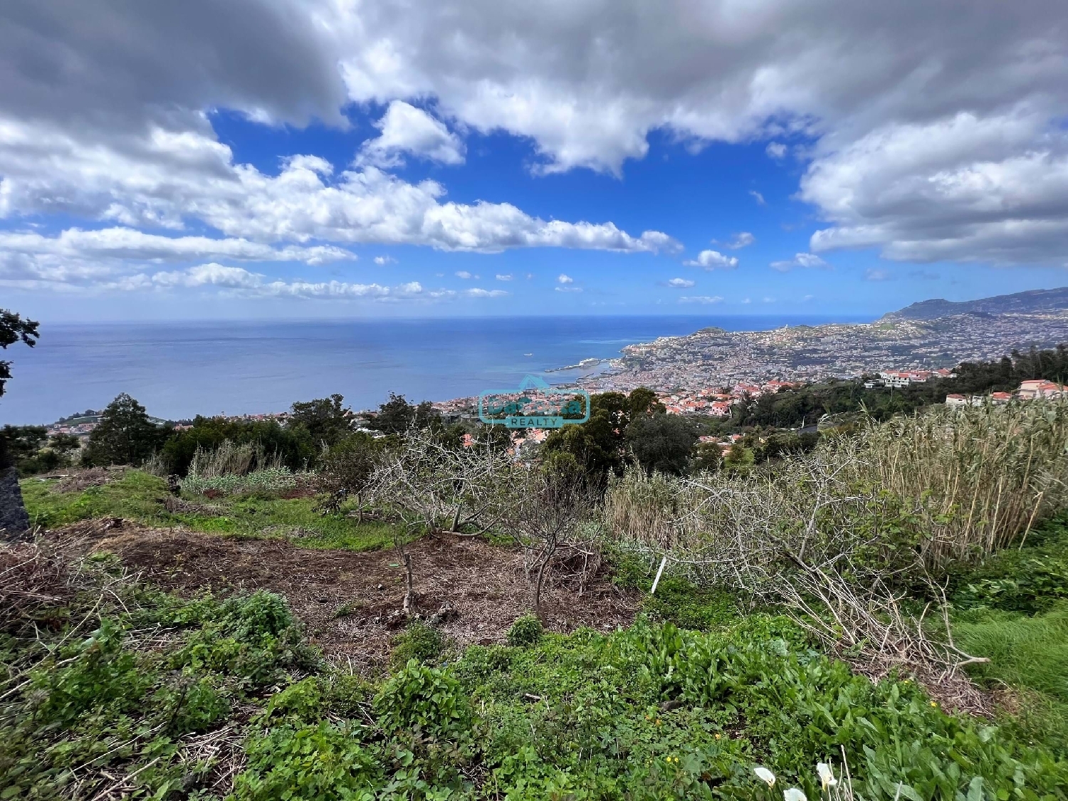  köpa tomt Funchal Funchal 1