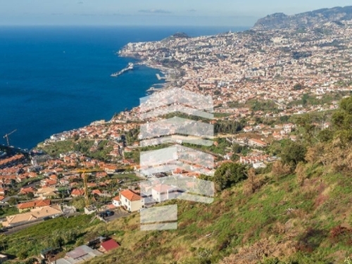 Funchal Funchal terreno foto 319683